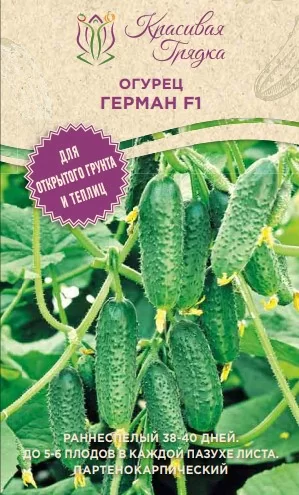 Огурец Герман F1 (Красивая Грядка).