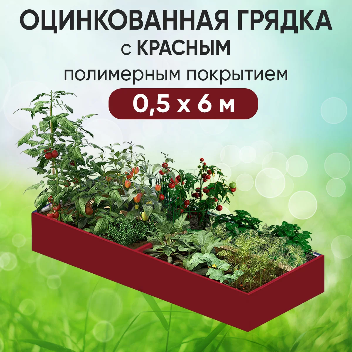 Грядка красная (0,5 х 6)