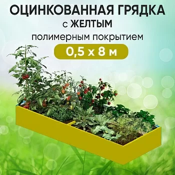 Грядка желтая (0,5 х 8)