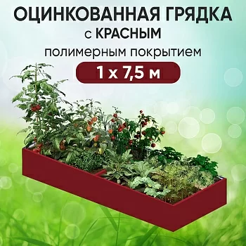 Грядка красная (1 х 7,5)