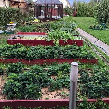 Высокая красная грядка (0,5 х 1,5)